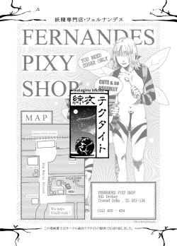 Page 21 of FERNANDES PIXY SHOP
