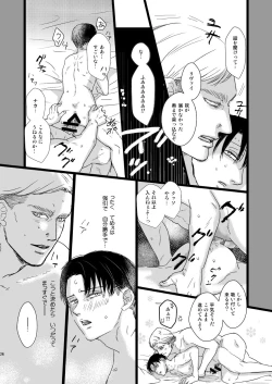 Page 25 of Erwin Smith o Mou Hitoru Sasageyo!!