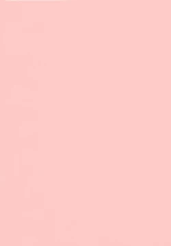 Page 3 of Nerawareta Niizuma