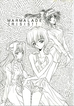 Page 3 of MARMARADE CRSIS!!