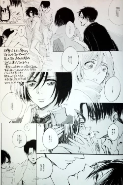 Page 32 of in the ark.