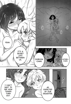 Page 17 of Hotaru to Chibiusa no Hajimete no Naisho
