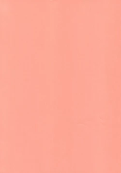 Page 2 of Kawaii Hito