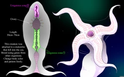 Page 2 of Sperm Creature on Male