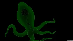 Page 2 of Creatures Extra