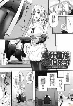 Page 46 of Houshi Shuzoku ga Yattekita!