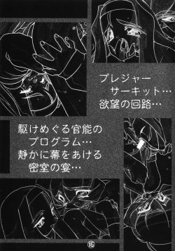 Page 17 of The Art of Pleasure Circuit