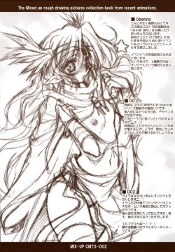 Page 2 of MIX-UP CM73