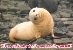 Page 12 of Seifuku Rakuen Extra 14