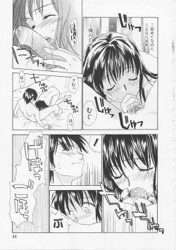 Page 35 of Hana no You ni Tori no You ni