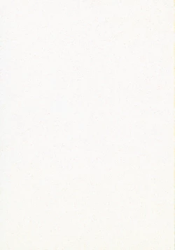 Page 39 of Mitama Matsuri IV