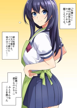 Page 88 of Ane wa Oyaji ni Dakareteru 2