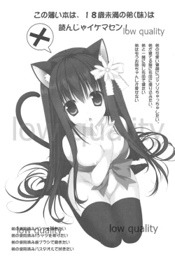 Page 2 of Onee-chan to Chucchu Shiyo