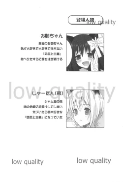 Page 3 of Onee-chan to Chucchu Shiyo