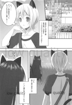 Page 4 of Onee-chan to Chucchu Shiyo