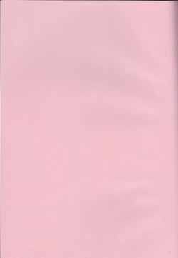 Page 2 of Senchou no Iu Toori