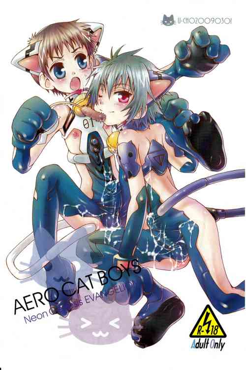 Download AERO CAT BOYS