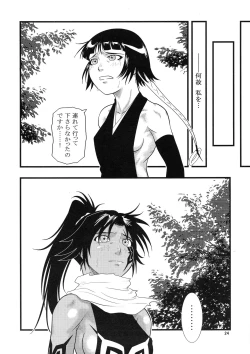 Page 24 of Yoruichi Nyan to Soi Fon no Hon