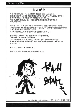 Page 25 of Yoruichi Nyan to Soi Fon no Hon