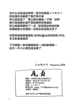 Page 18 of ODEKOBLUEBIRD II