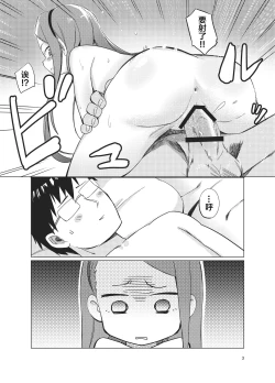 Page 3 of ODEKOBLUEBIRD II