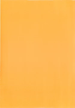 Page 203 of Dere Nochi Torare