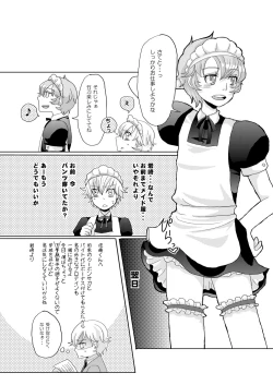 Page 17 of kabon shinai 13000yen