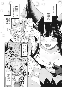 Page 2 of Hatsujou Seruel to Sei Djeeta-chan