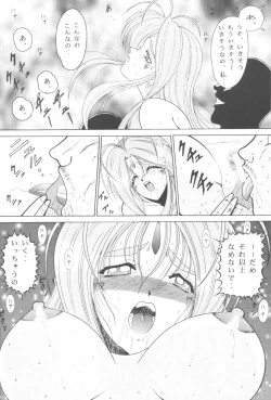 Page 13 of Megamiπr