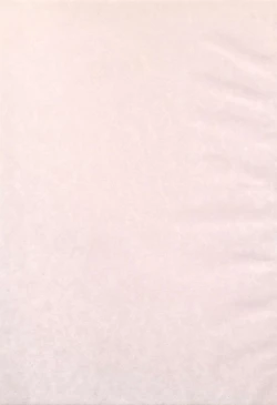 Page 2 of Boku no Kaasan ga Konna ni Kawaii no wa Shiyou