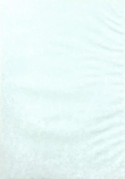 Page 2 of Digital Diva