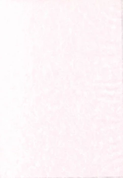 Page 43 of Shiawase ni Naritai