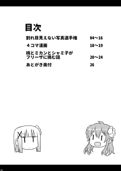 Page 3 of Wareme Mienai Shashin Senshuken 2