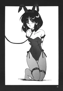 Page 35 of Silent Saturn SS 10