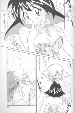 Page 28 of Slayers Adult 4