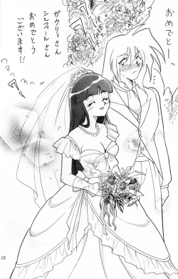 Page 9 of Slayers Adult 11