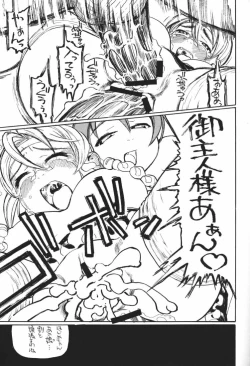 Page 29 of MAID GP2001