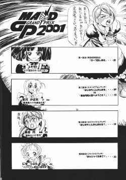 Page 3 of MAID GP2001