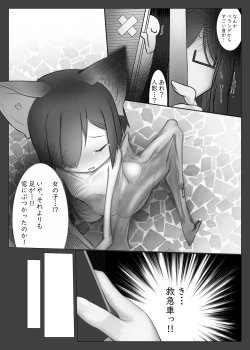 Page 4 of Kyuuhou Chiroptera