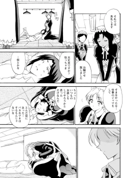Page 25 of Boku Senzoku Maid ga Iu Koto o Kikanai3