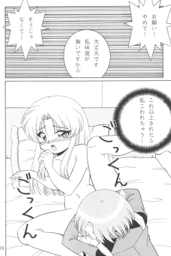 Page 13 of TOKUTEI 8