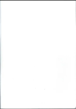 Page 3 of 蜘蛛絲採集教學 | "Spider Silk Collection"