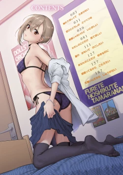 Page 4 of Furete Hoshikute Tamaranai