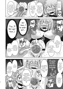 Page 17 of Raygis Valicess Elsain Hajigyaku no Reigokutou Kouhen