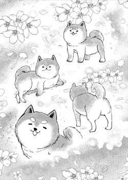 Page 8 of Shintaro ga Stocking Onani suru Hanashi