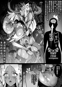 Page 47 of Inmon Akuochi no Hime Kishidan【不可视汉化】