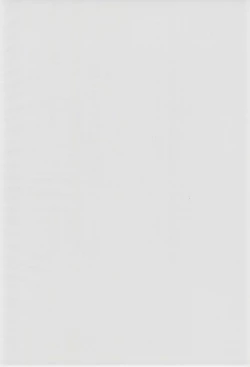 Page 38 of ECO Commerce!!