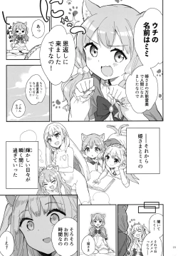 Page 14 of Hime-sama Sore wa Seisui desu ka? 3