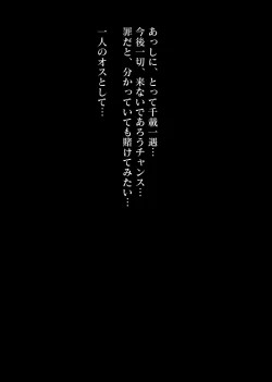 Page 41 of Nagusamex