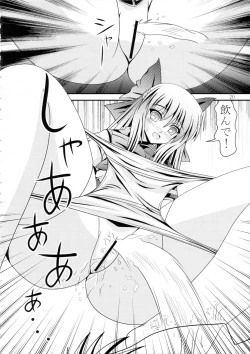 Page 19 of RESUMPTION 2